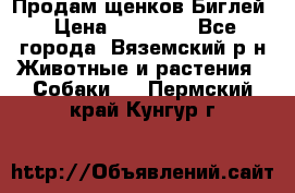 Продам щенков Биглей › Цена ­ 15 000 - Все города, Вяземский р-н Животные и растения » Собаки   . Пермский край,Кунгур г.